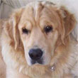 Click here for info on Freddie